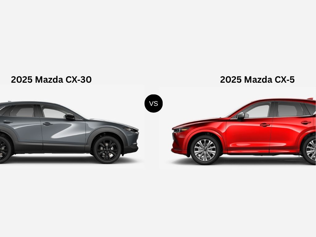 cx 30 cx 5 比較